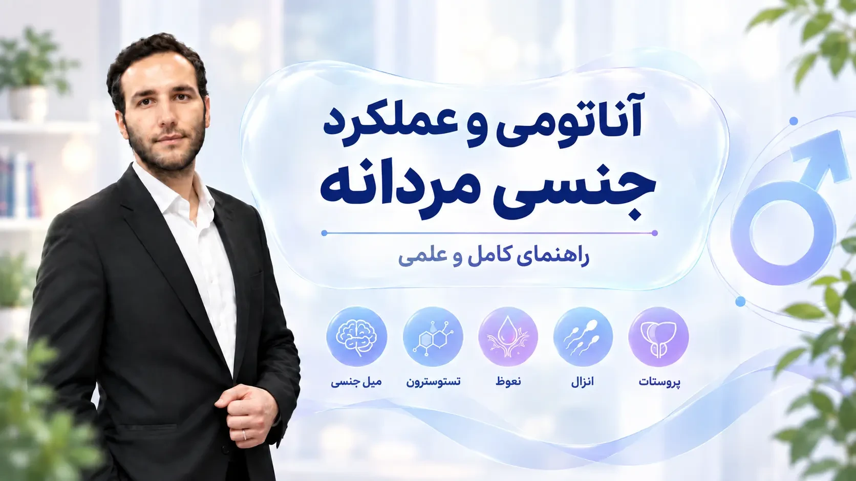 آناتومی و عملکرد جنسی مردانه: راهنمای کامل و علمی